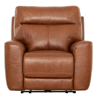 Alan Power Recliner