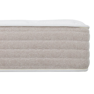ChiroSleep 12 in. Mattress FR