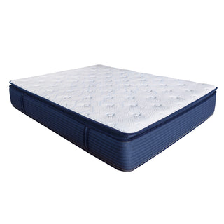 Cool Lux 12 in. Mattress