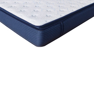 Cool Lux 12 in. Mattress