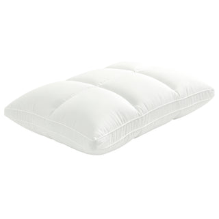 Duvet Pillow (8/Box)