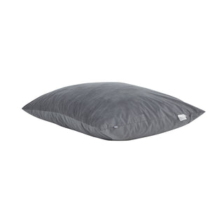 Sealy® Ettie Bean Bag Pillow