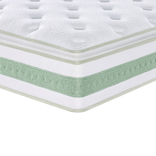 Ginger 14 in. Mattress