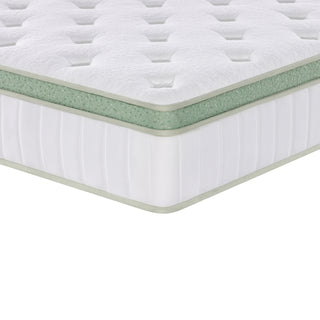 Ginseng 12 in. Mattress