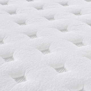 Ginseng 12 in. Mattress