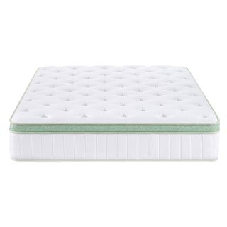 Ginseng 12 in. Mattress
