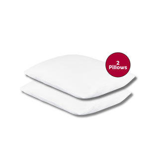 Northern Dream Ultra Plush 14 in. Mattress