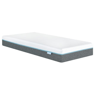 SofiSleep2 10 in. Mattress - Twin XL