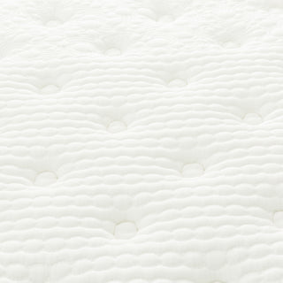 Majesty 12 in. Mattress