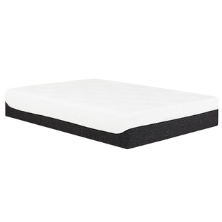 Northern Dream 10 in. Mattress