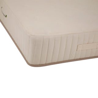 Organa Plush 10 in. Mattress