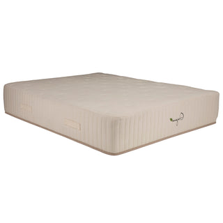 Organa Super Plush 12 in. Mattress