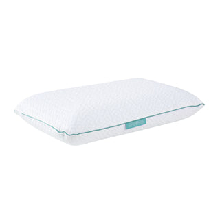 Skyler Pillow (8/box)